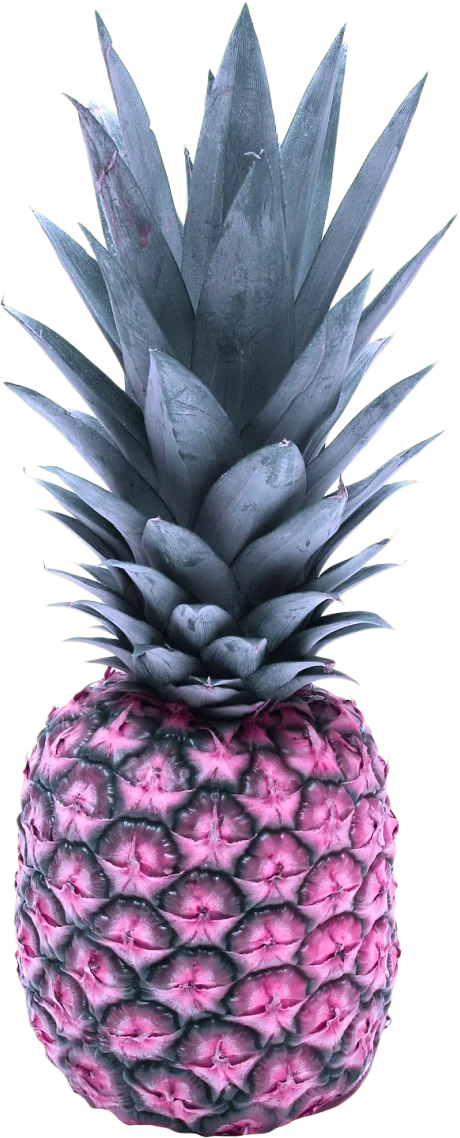 purple pineapple